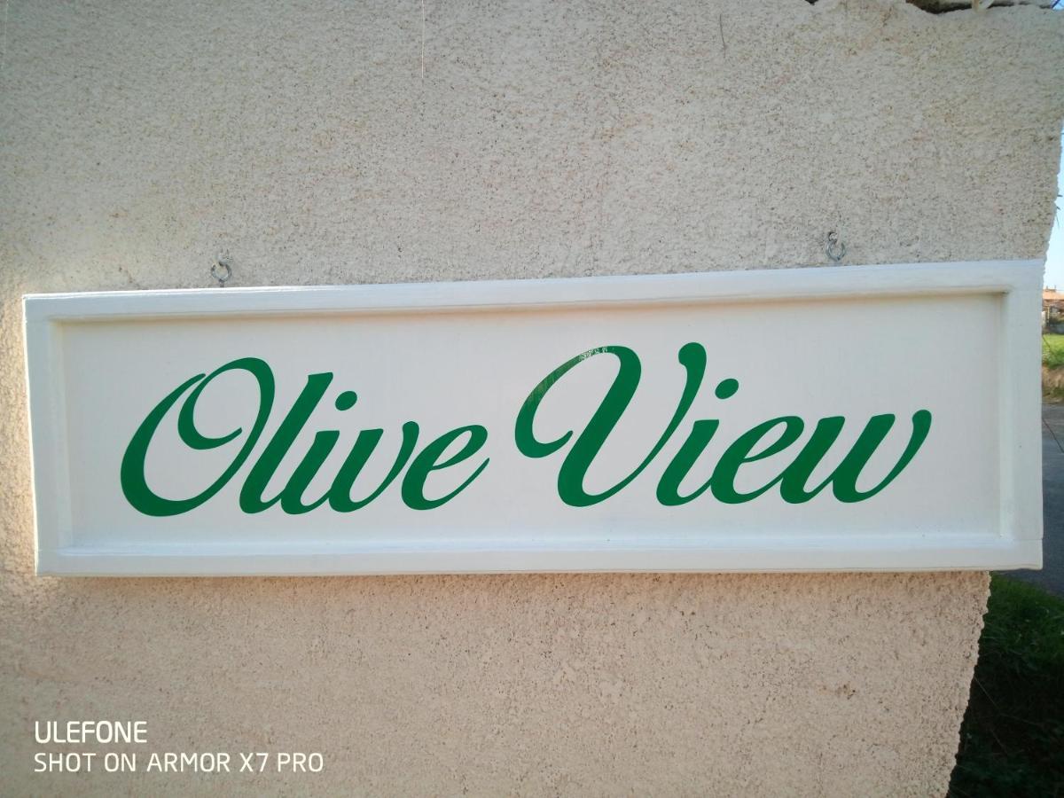 فيلا Olive View Puissalicon المظهر الخارجي الصورة